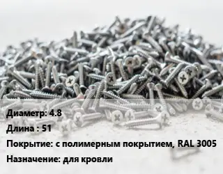 Шуруп 4.8х51 с полимерным покрытием, RAL 3005 для кровли